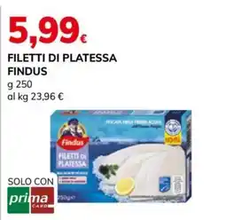 Basko Filetti di Platessa Findus offerta