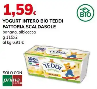 Basko YOGURT INTERO BIO TEDDI offerta