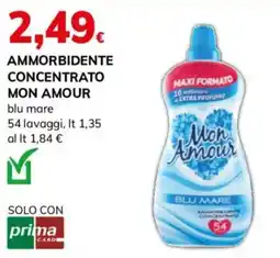 Basko AMMORBIDENTE CONCENTRATO MON AMOUR offerta