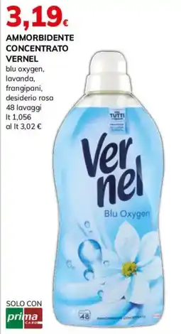 Basko AMMORBIDENTE CONCENTRATO VERNEL offerta
