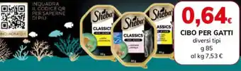 Basko Sheba Classics offerta