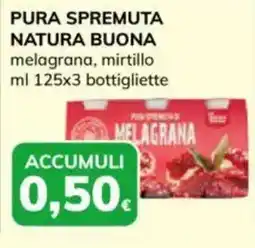 Basko Pura Spremuta Natura Buona melagrana, mirtillo offerta
