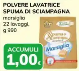 Basko Polvere lavatrice spuma di sciampagna marsiglia offerta