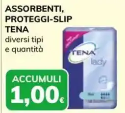 Basko ASSORBENTI, PROTEGGI-SLIP TENA offerta