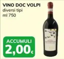 Basko VINO DOC VOLPI offerta