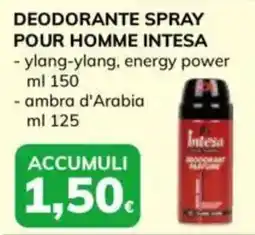 Basko DEODORANTE SPRAY POUR HOMME INTESA offerta