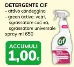 Basko Detergente Cif offerta