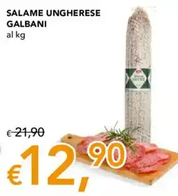 Migross Supermercati e Market Salame ungherese Galbani offerta