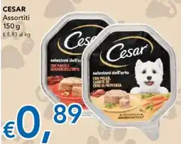 Migross Supermercati e Market Cesar offerta