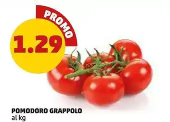 PENNY POMODORO GRAPPOLO offerta