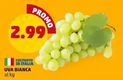 PENNY UVA BIANCA offerta