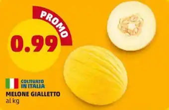 PENNY MELONE GIALLETTO offerta