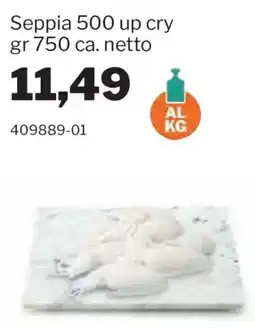 GrosMarket Seppia 500 up cry offerta
