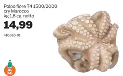 GrosMarket Polpo fiore T4 offerta