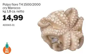 Polpo fiore T4