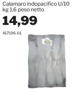 GrosMarket Calamaro indopacifico offerta