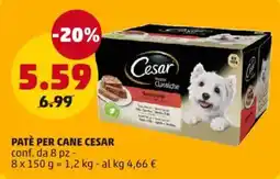 PENNY PATÈ PER CANE CESAR offerta