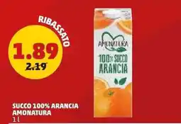 PENNY Succo 100% Arancia Amonatura offerta