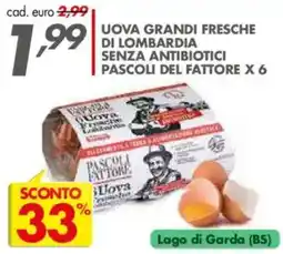 Italmark Uova grandi fresche di Lombardia senza antibiotici Pascoli del Fattore offerta
