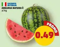 PENNY Anguria Natura offerta