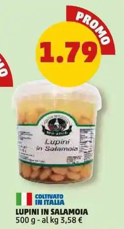 PENNY Lupini in Salamoia offerta