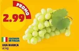 PENNY UVA BIANCA offerta