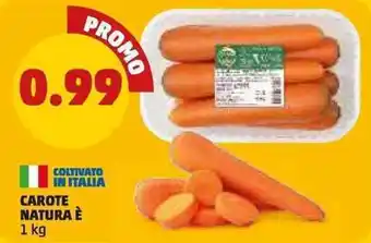 PENNY CAROTE NATURA È offerta