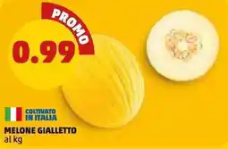 PENNY Melone Gialletto offerta