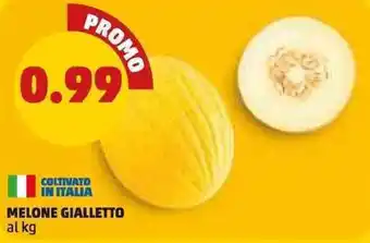PENNY Melone Gialletto offerta