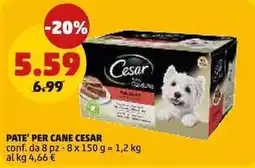 PENNY PATE' PER CANE CESAR offerta