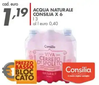 Italmark Acqua naturale Consilia offerta