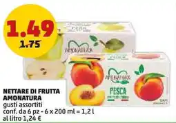 PENNY Nettare di frutta Amonatura offerta