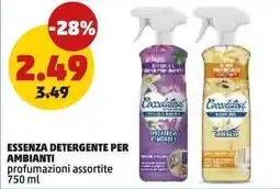 PENNY Essenza detergente per ambienti offerta