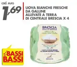 Italmark Uova bianche fresche da galline allevate a terra di Centrale Brescia offerta