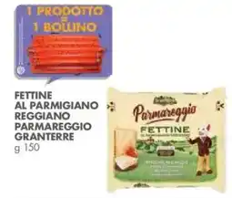Italmark Fettine al Parmigiano Reggiano Parmareggio Granterre offerta