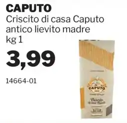 GrosMarket Criscito di casa Caputo antico lievito madre offerta