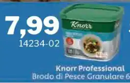 GrosMarket Knorr Professional Brodo di Pesce Granulare offerta
