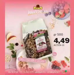 GrosMarket Mister Nut Wellness Mix Colazione offerta