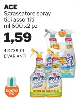 GrosMarket Sgrassatore spray ACE offerta