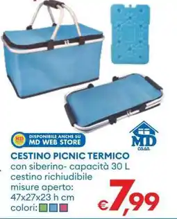 MD Discount CESTINO PICNIC TERMICO offerta