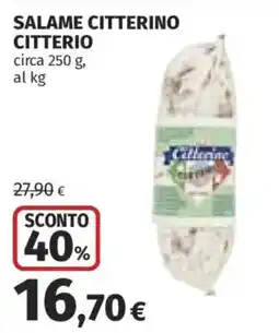 Ipercoop Salame Citterino Citterio offerta