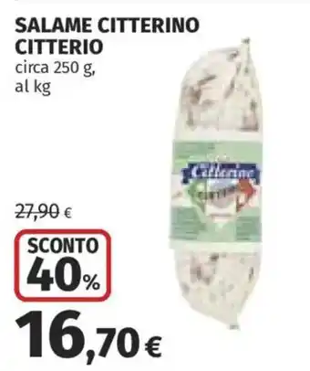 Ipercoop Salame Citterino Citterio offerta