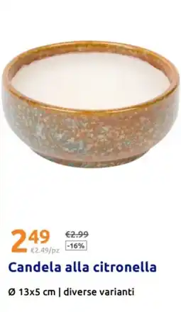Action Candela alla citronella offerta