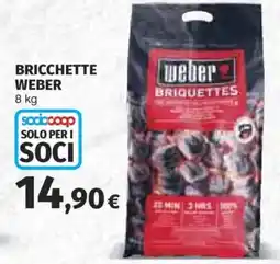 Ipercoop Bricchette Weber offerta