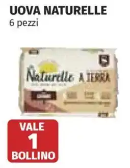 Ipercoop Uova Naturelle offerta