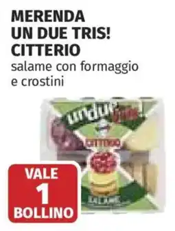 Ipercoop Citterio salame con formaggio e crostini offerta