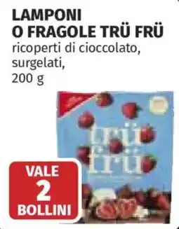 Ipercoop Lamponi o fragole trü frü offerta