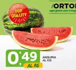 Quick Sisa ANGURIA offerta