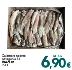Altasfera Calamaro sporco patagonia c4 RIAZOR offerta