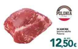 Altasfera SCAMONE bovino adulto Polonia offerta